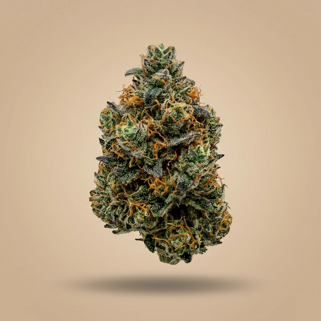 Hawaiian Skunk